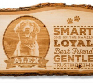 샘플이미지-CO2레이저_01